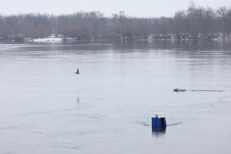 В Рязани продолжают следить за развитием ситуации с половодьем